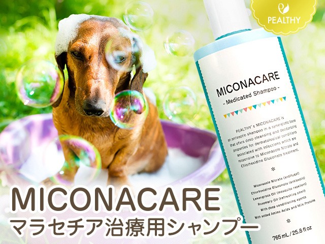 026127_pealthy-miconacare-shampoo_up